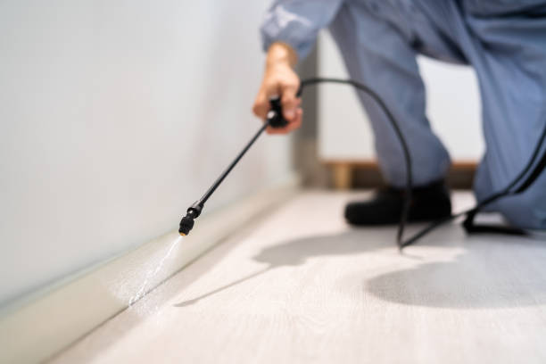 Certified termite inspector examining foundation in Batesville